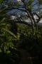CostaRica06 - 232